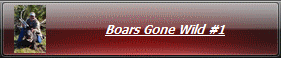 Boars Gone Wild #1