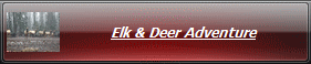 Elk & Deer Adventure