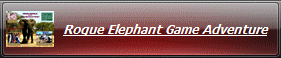 Rogue Elephant Game Adventure