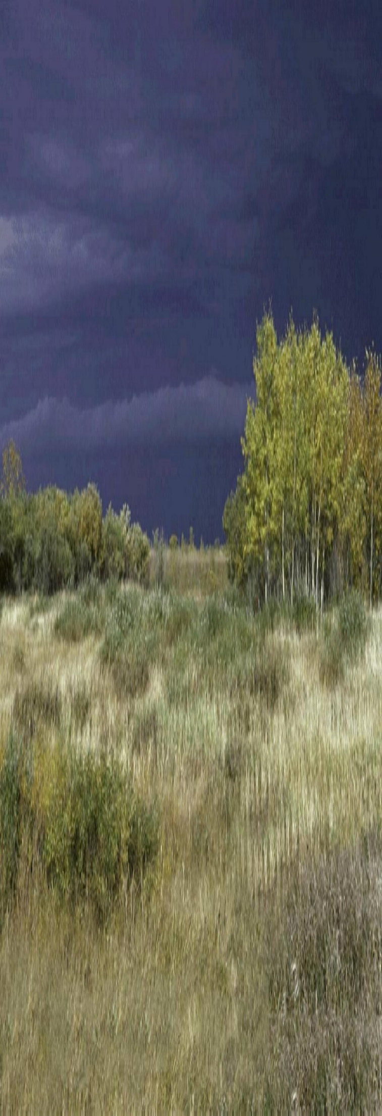 thunderwolf_productions016004.jpg